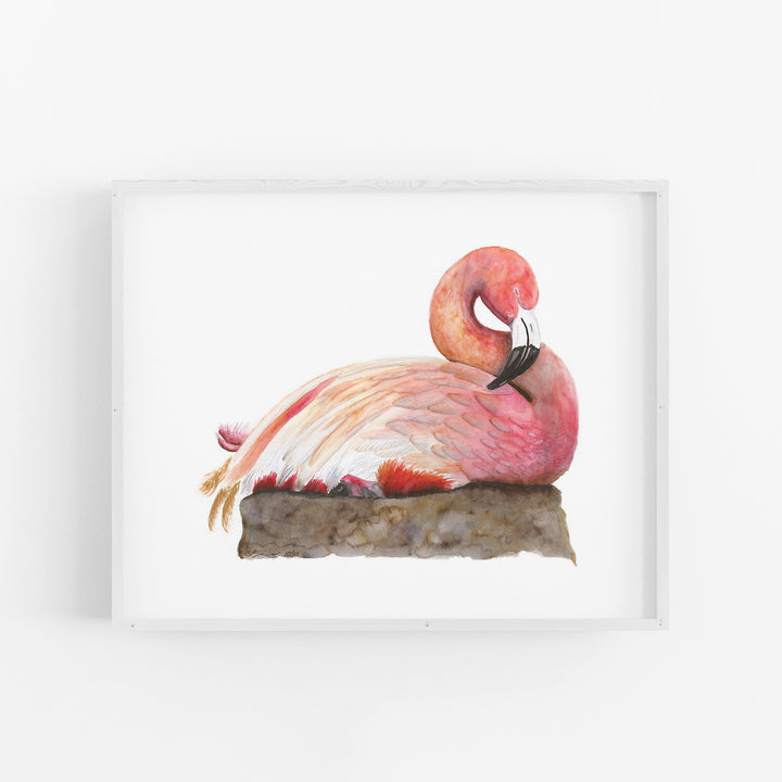 Sleeping Flamingo - Tiny Toes Design