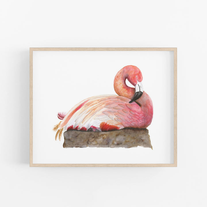 Sleeping Flamingo - Tiny Toes Design