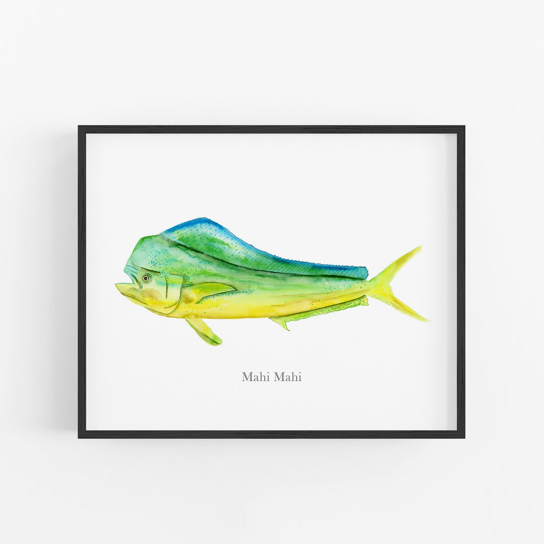 Mahi Mahi Print - Tiny Toes Design