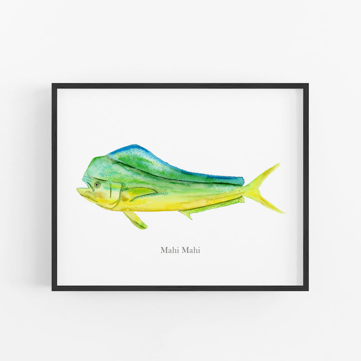 Mahi Mahi Print - Tiny Toes Design
