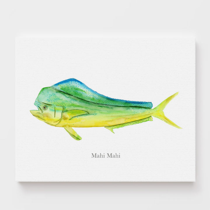 Mahi Mahi Print - Tiny Toes Design