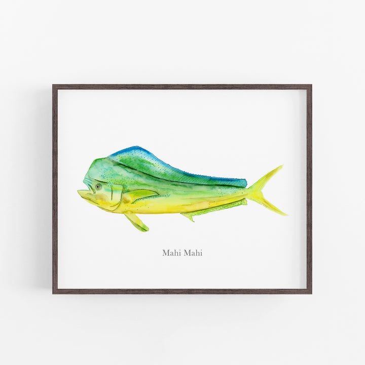 Mahi Mahi Print - Tiny Toes Design