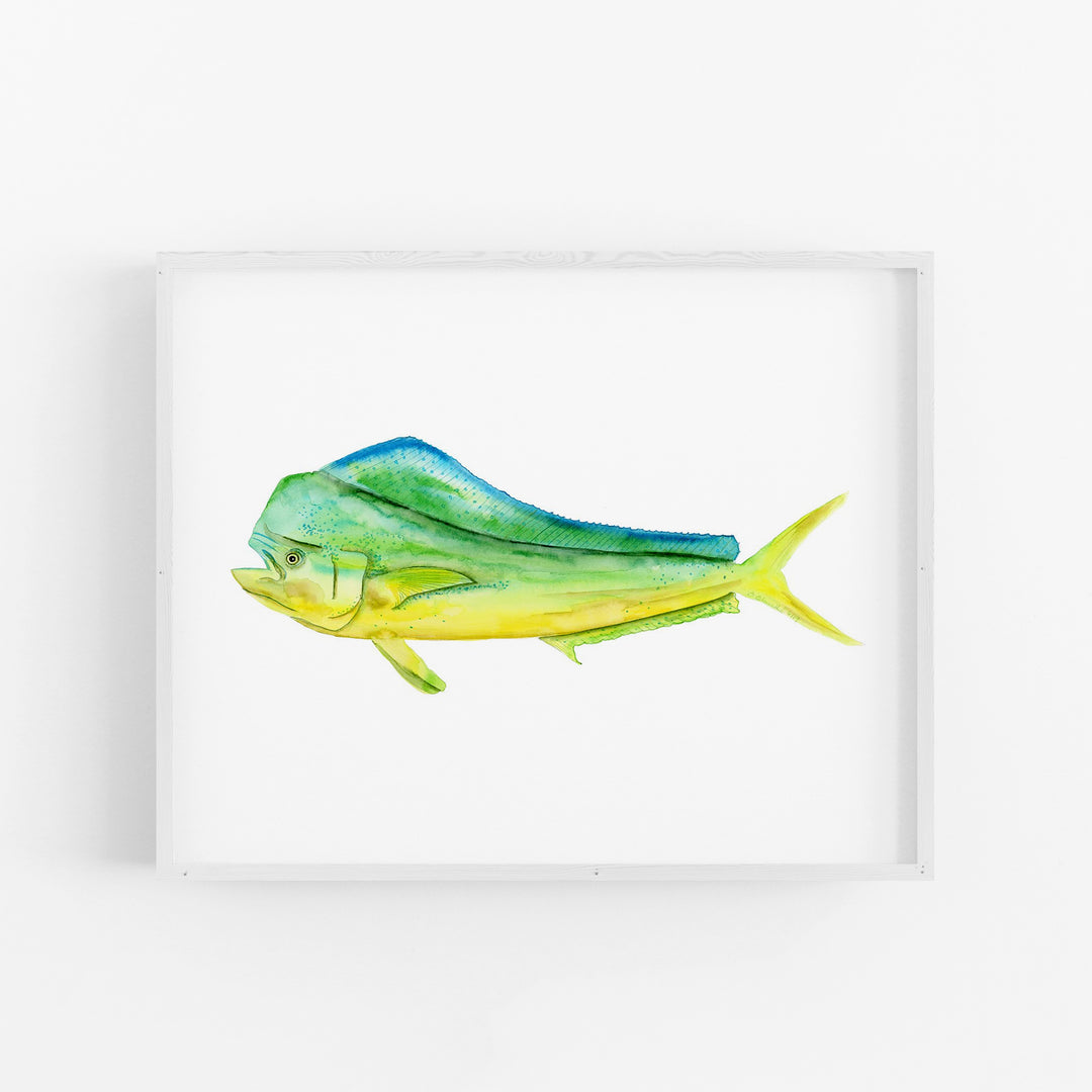 Mahi Mahi Print - Tiny Toes Design
