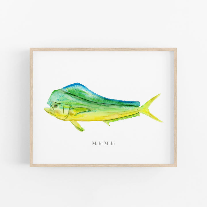 Mahi Mahi Print - Tiny Toes Design
