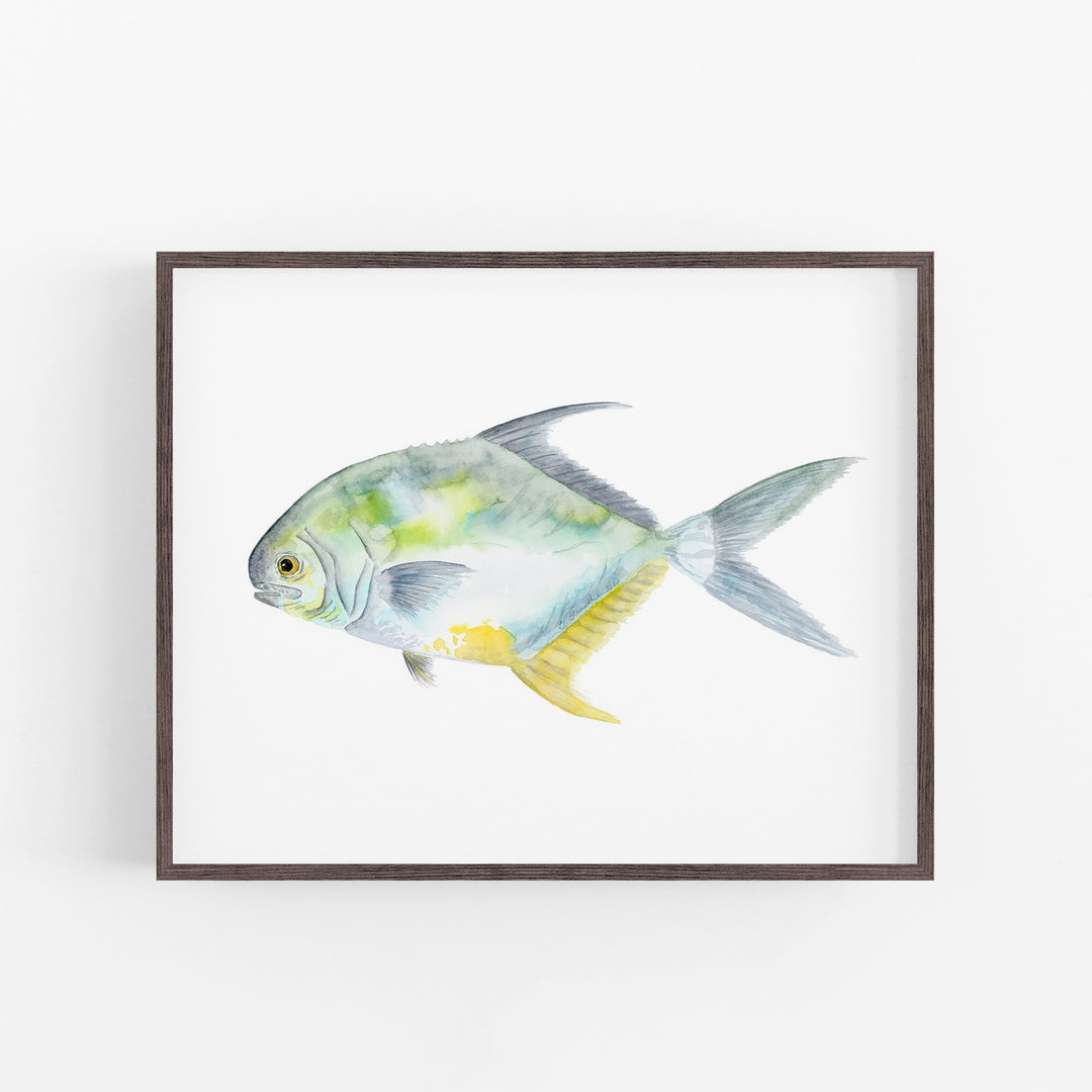 Permit Fish Print - Tiny Toes Design