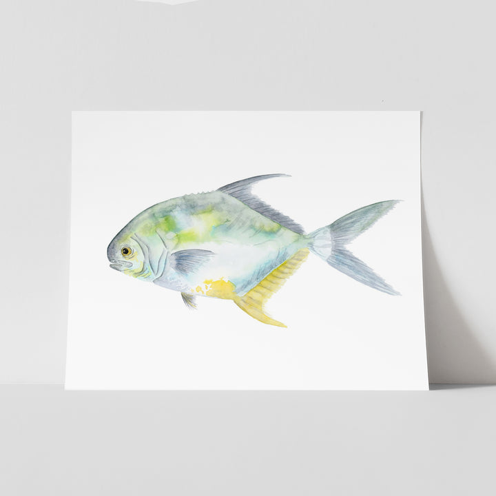 Permit Fish Print - Tiny Toes Design