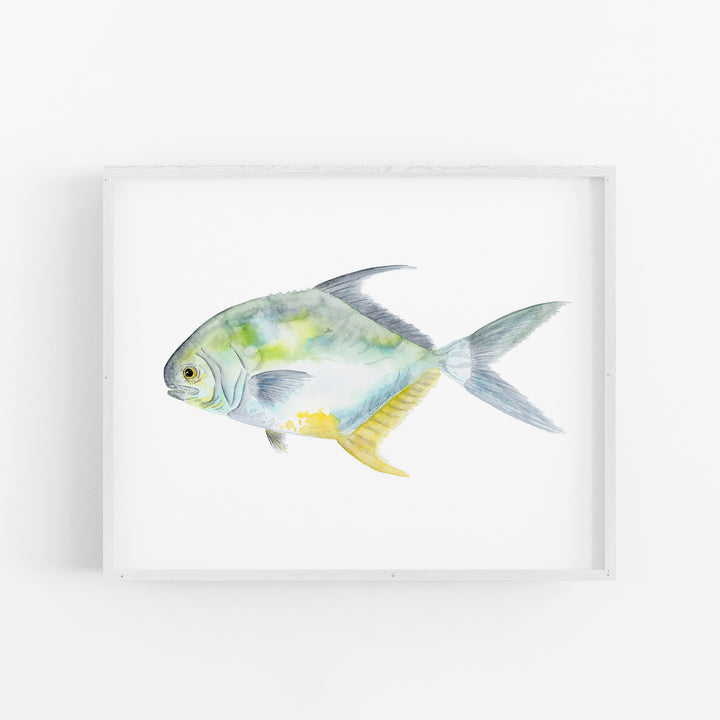 Permit Fish Print - Tiny Toes Design