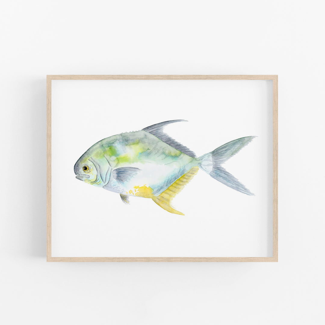 Permit Fish Print - Tiny Toes Design