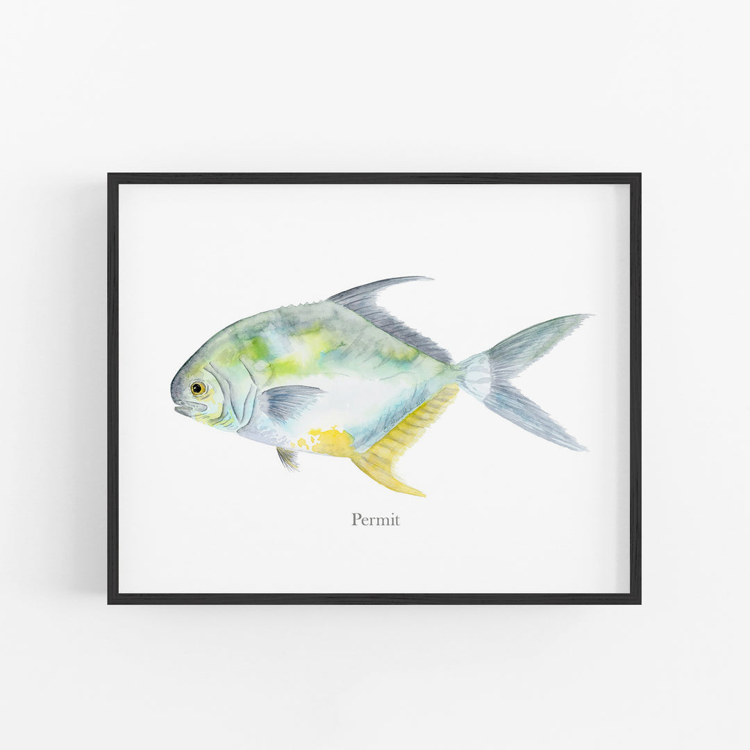 Permit Fish Print - Tiny Toes Design