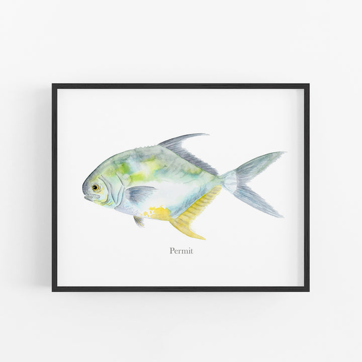 Permit Fish Print - Tiny Toes Design