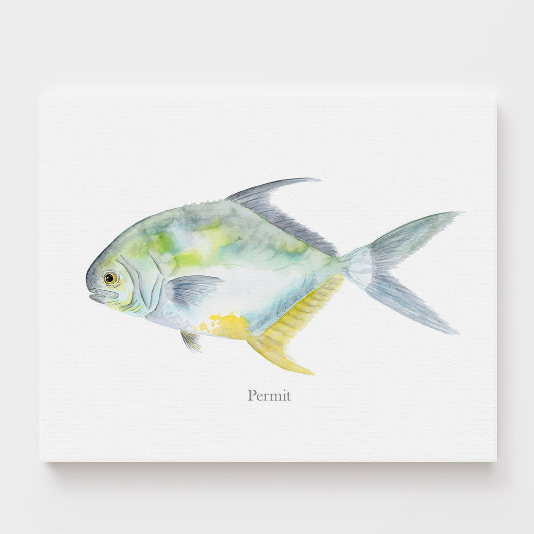 Permit Fish Print - Tiny Toes Design
