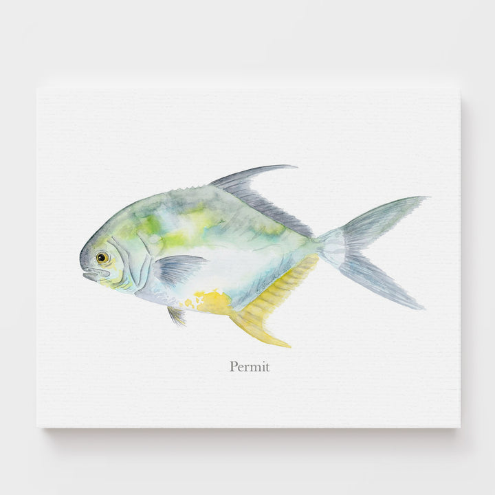 Permit Fish Print - Tiny Toes Design