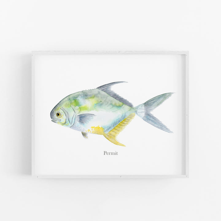Permit Fish Print - Tiny Toes Design