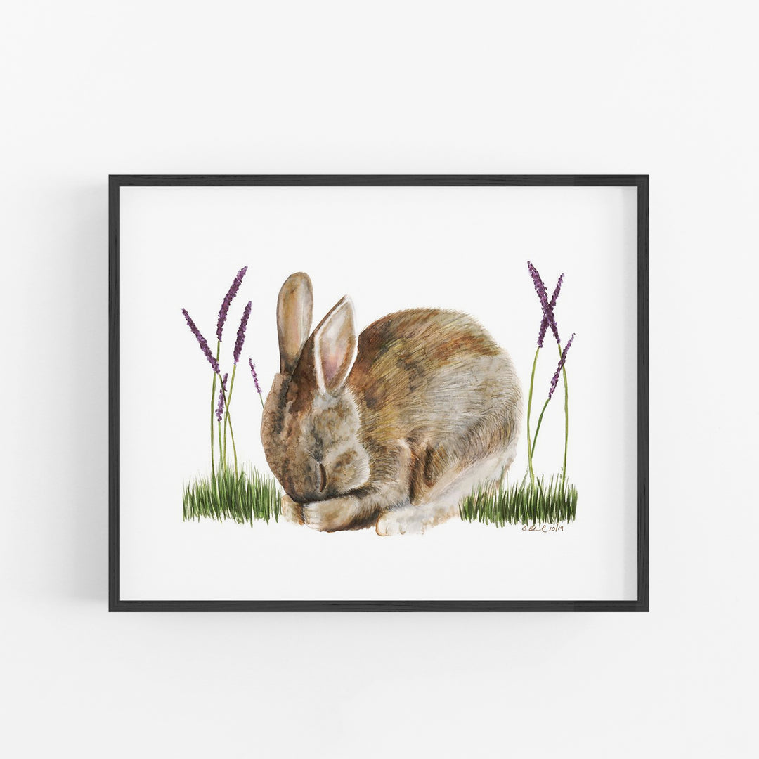 Sleeping Baby Bunny - Tiny Toes Design