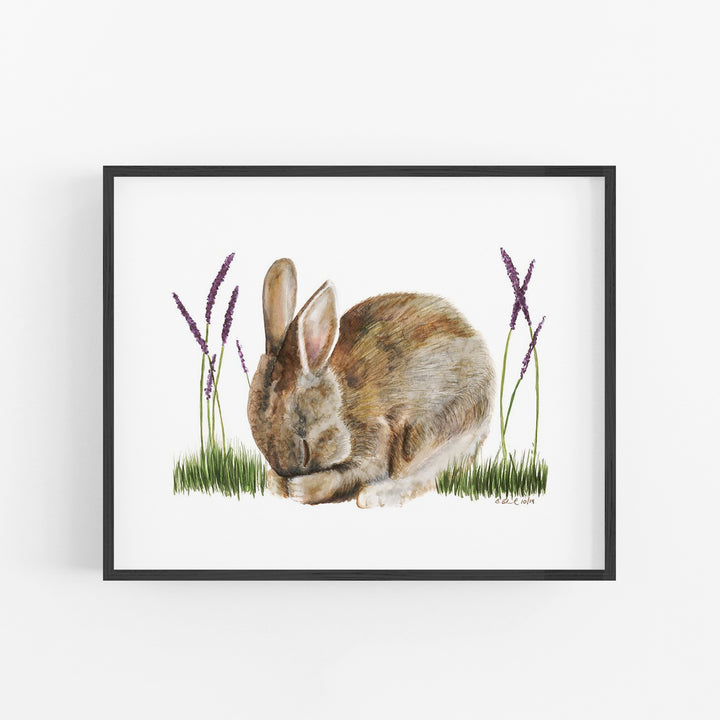 Sleeping Baby Bunny - Tiny Toes Design