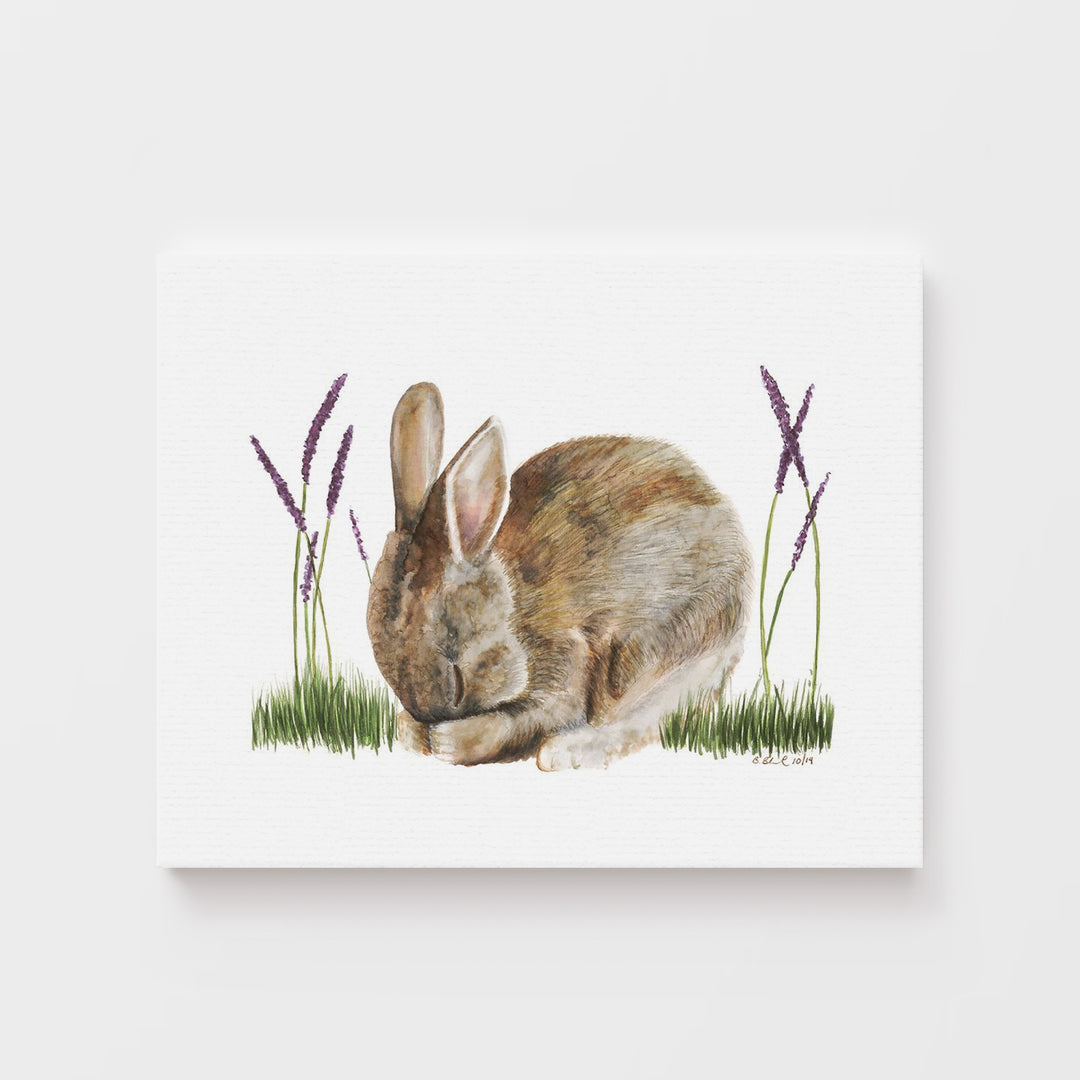 Sleeping Baby Bunny - Tiny Toes Design