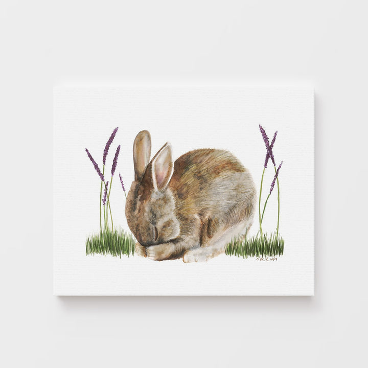 Sleeping Baby Bunny - Tiny Toes Design