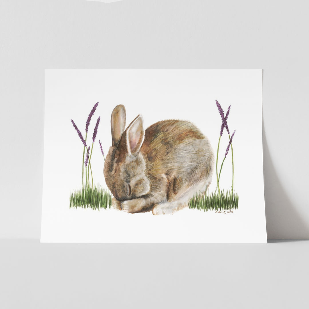 Sleeping Baby Bunny - Tiny Toes Design