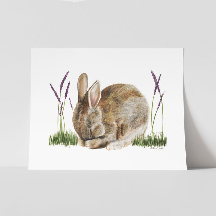 Sleeping Baby Bunny - Tiny Toes Design