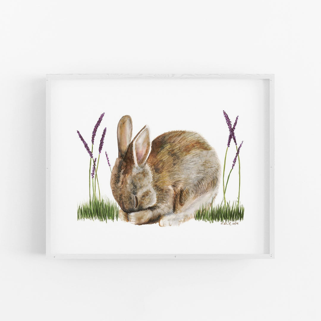 Sleeping Baby Bunny - Tiny Toes Design