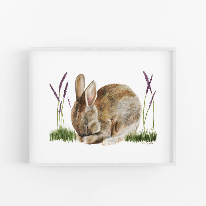 Sleeping Baby Bunny - Tiny Toes Design