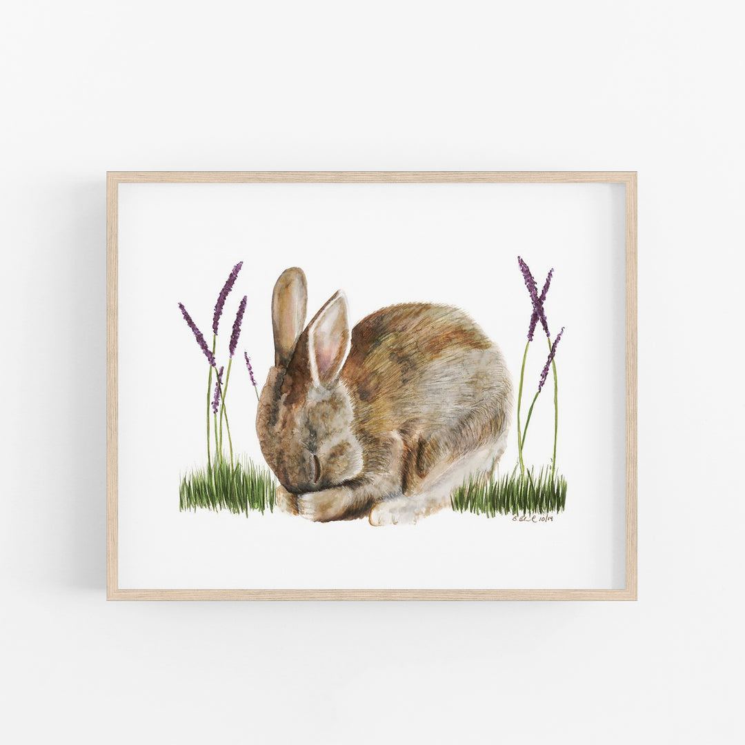Sleeping Baby Bunny - Tiny Toes Design
