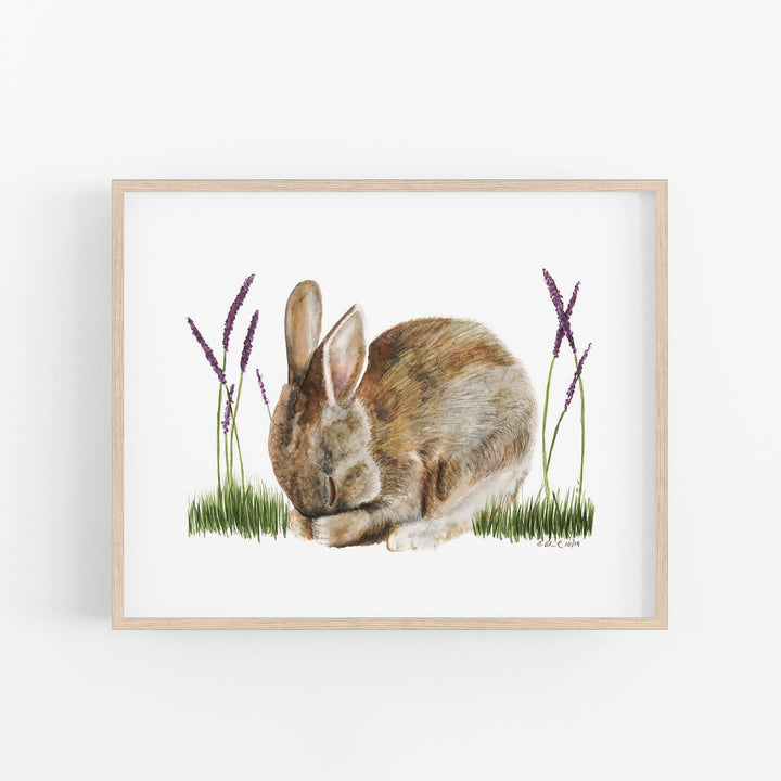 Sleeping Baby Bunny - Tiny Toes Design