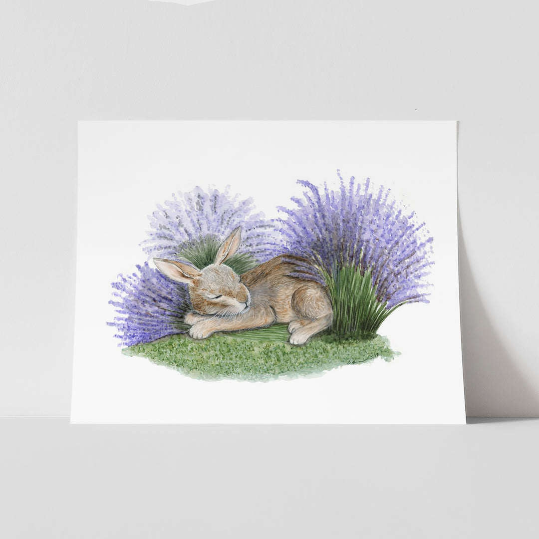 Sleeping Hare in Lavender - Tiny Toes Design