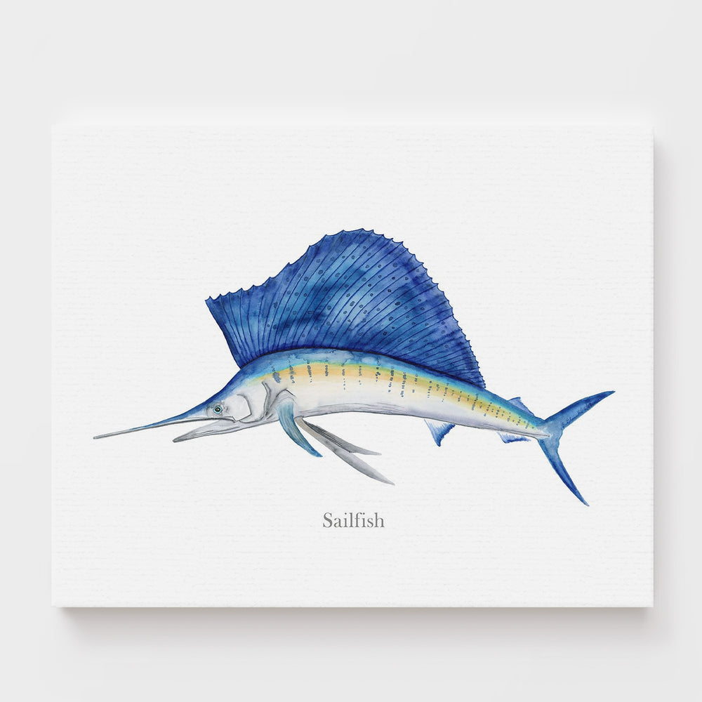 Sailfish Print - Tiny Toes Design