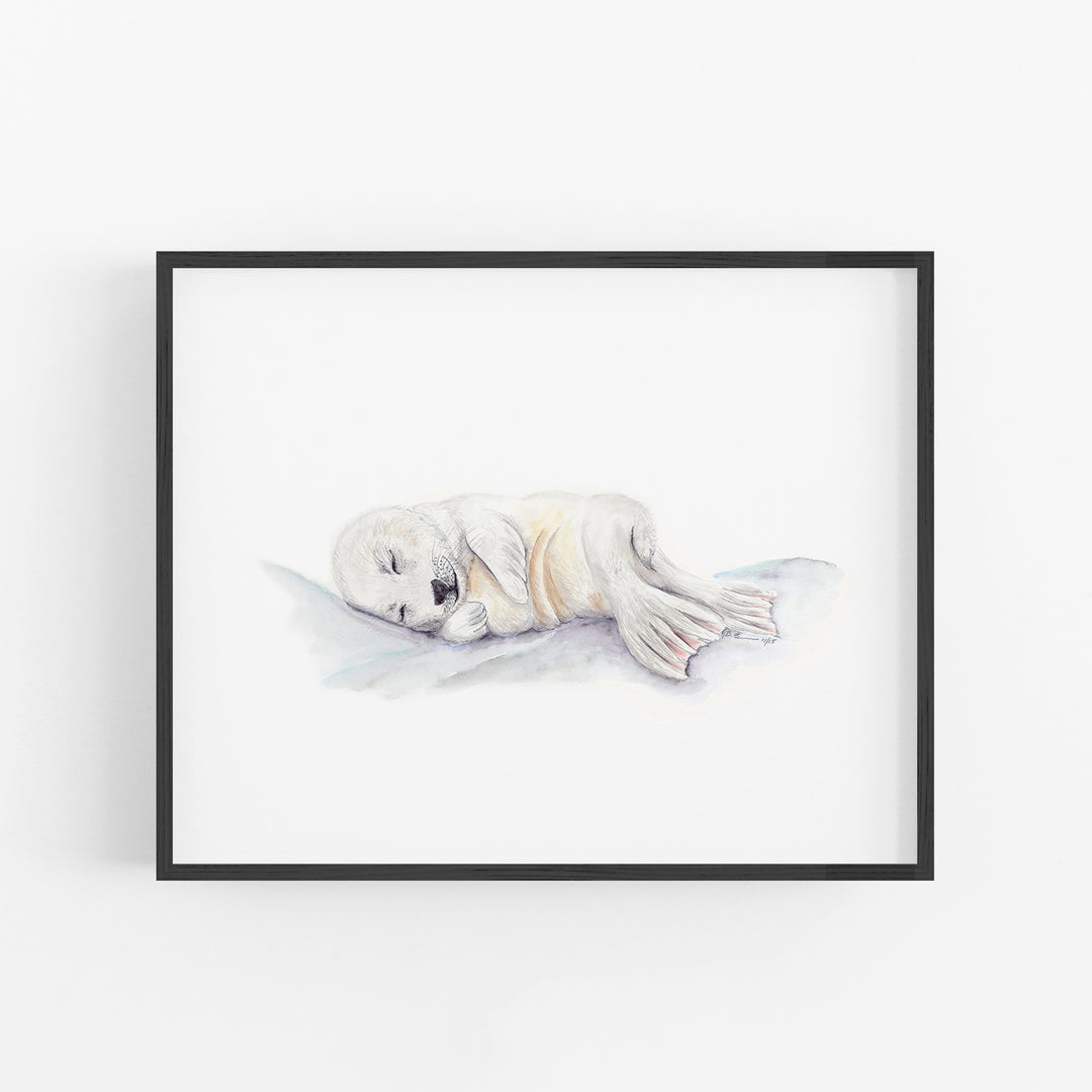 Sleeping Baby Seal - Tiny Toes Design