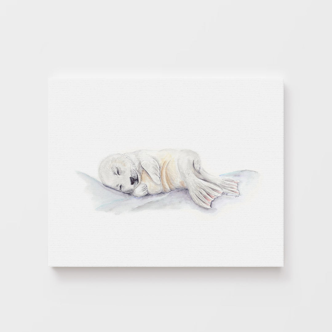 Sleeping Baby Seal - Tiny Toes Design