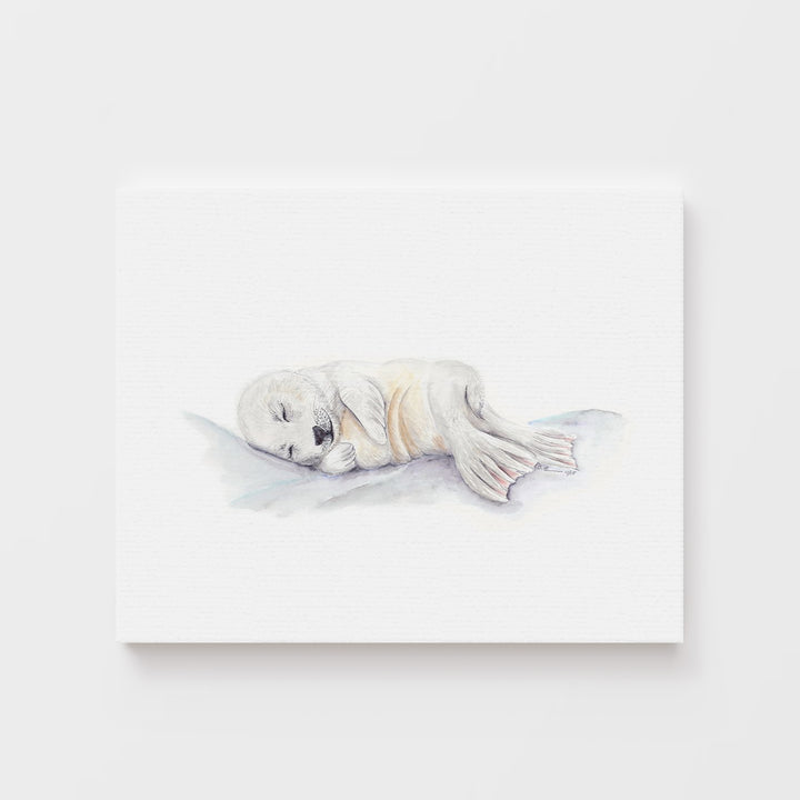 Sleeping Baby Seal - Tiny Toes Design