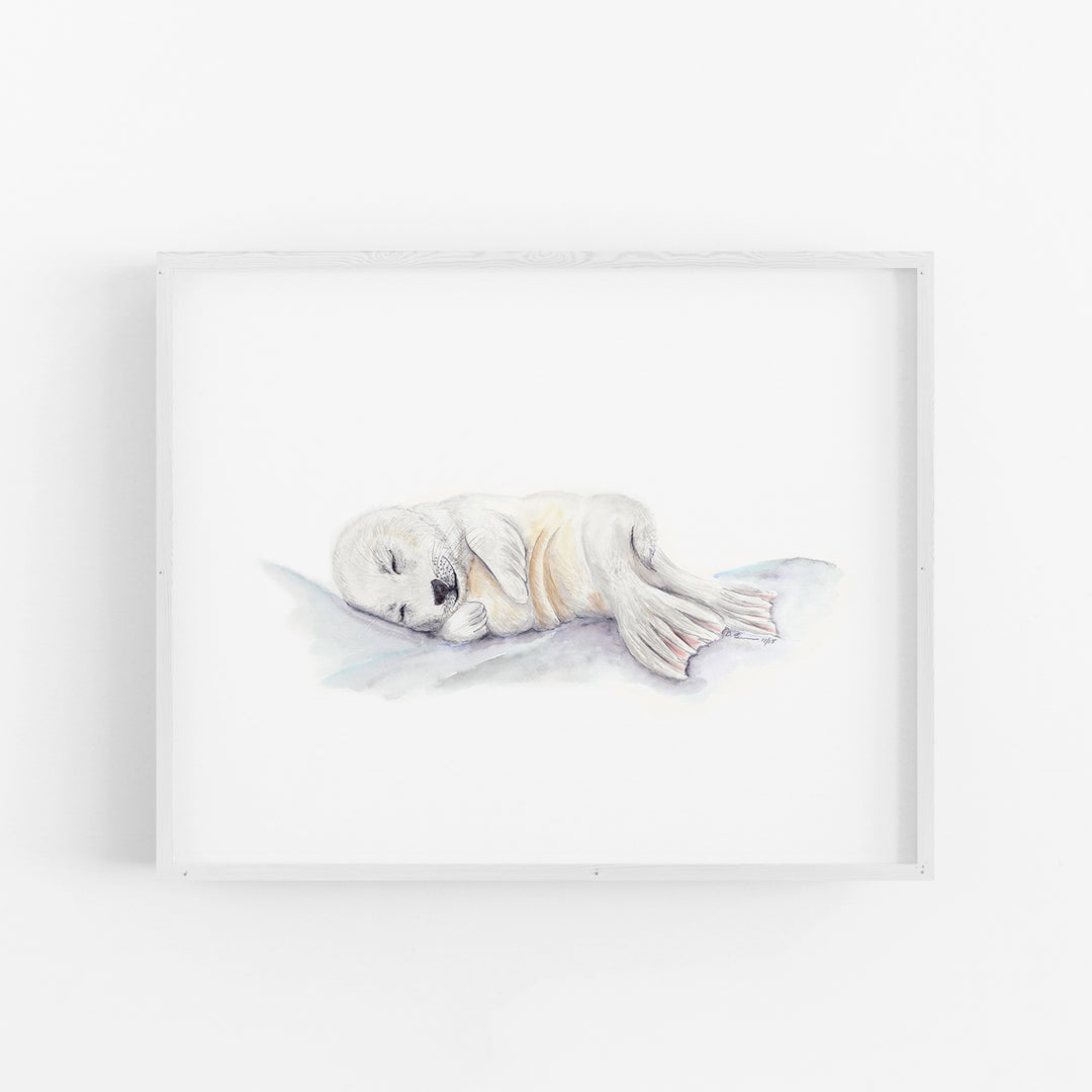 Sleeping Baby Seal - Tiny Toes Design