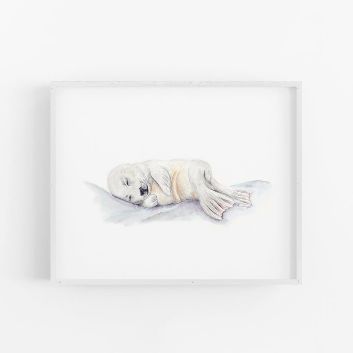 Sleeping Baby Seal - Tiny Toes Design