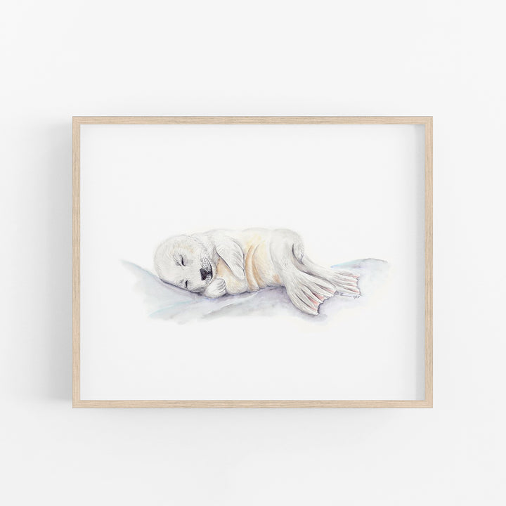 Sleeping Baby Seal - Tiny Toes Design