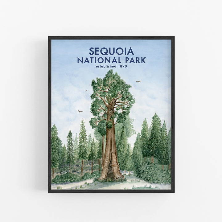 Sequoia National Park Poster - Tiny Toes Design