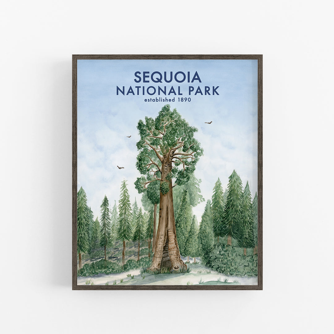 Sequoia National Park Poster - Tiny Toes Design