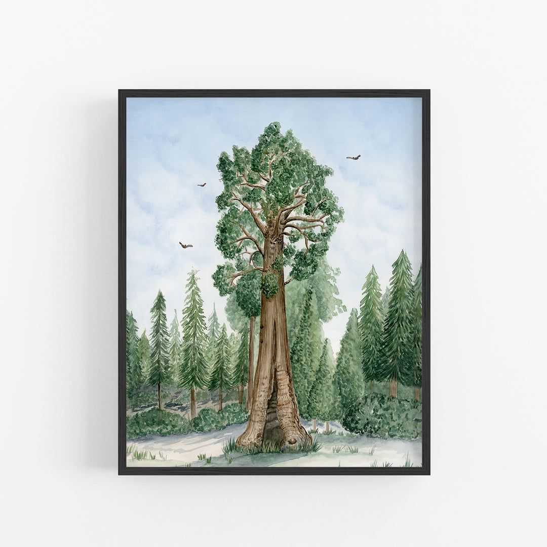 Sequoia National Park Poster - Tiny Toes Design