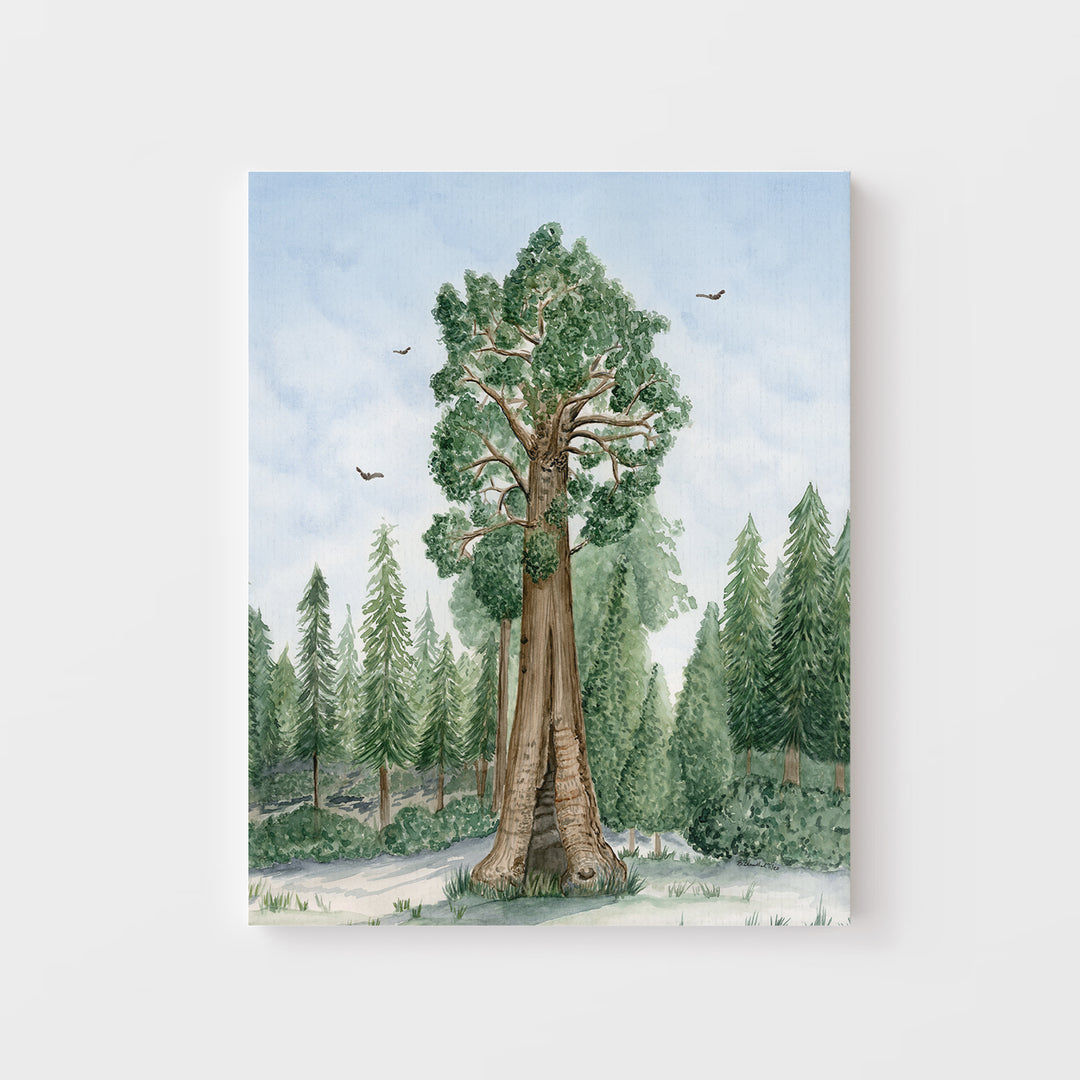 Sequoia National Park Poster - Tiny Toes Design