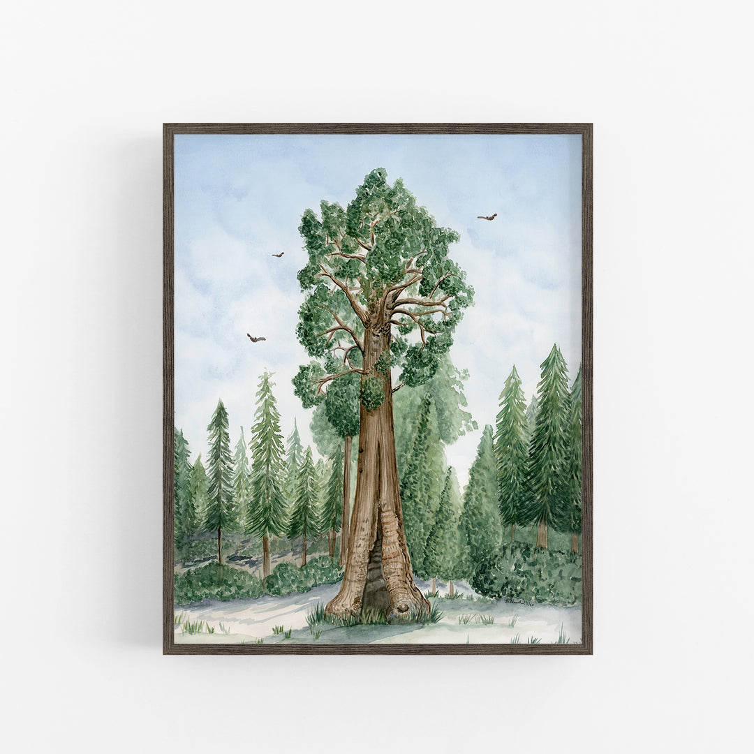 Sequoia National Park Poster - Tiny Toes Design