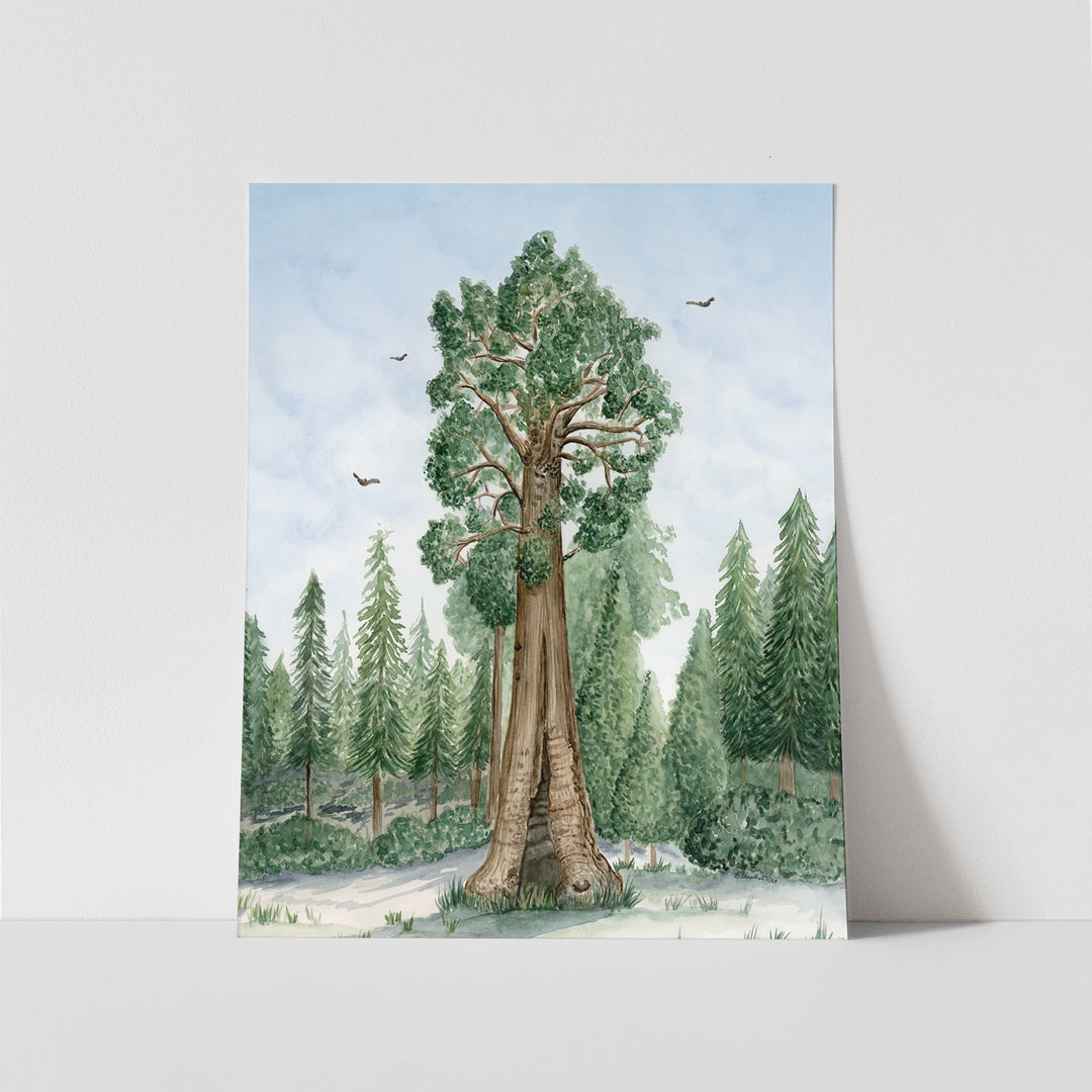 Sequoia National Park Poster - Tiny Toes Design