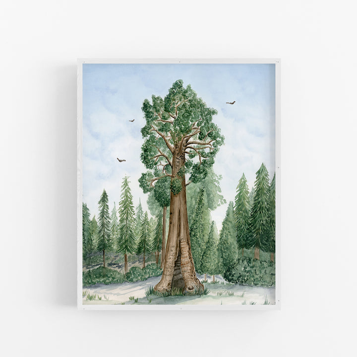 Sequoia National Park Poster - Tiny Toes Design