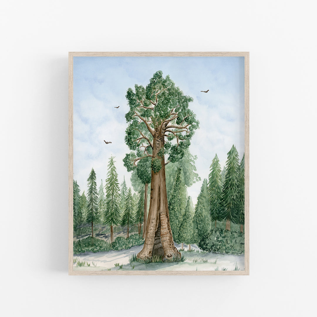 Sequoia National Park Poster - Tiny Toes Design