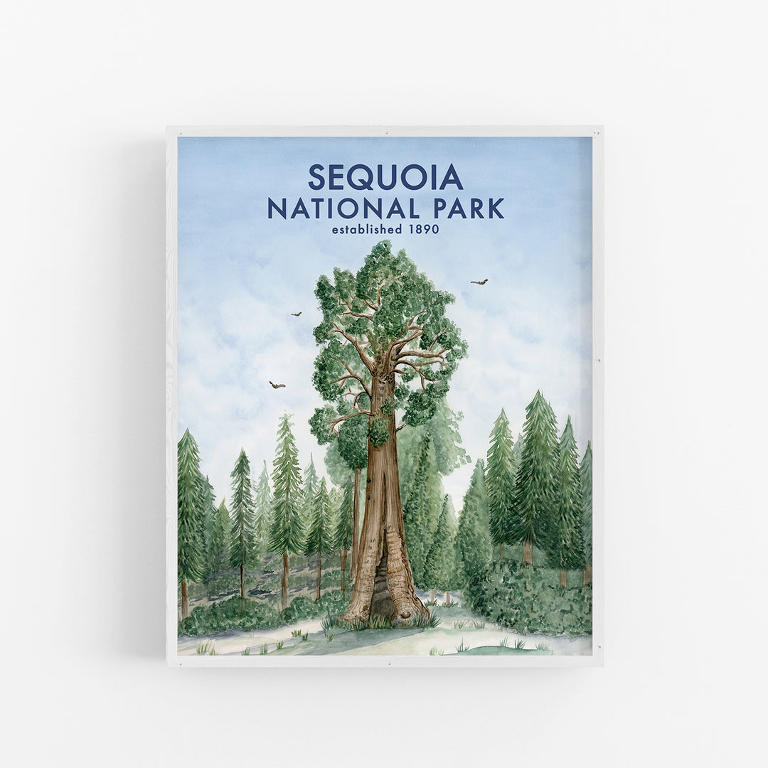 Sequoia National Park Poster - Tiny Toes Design