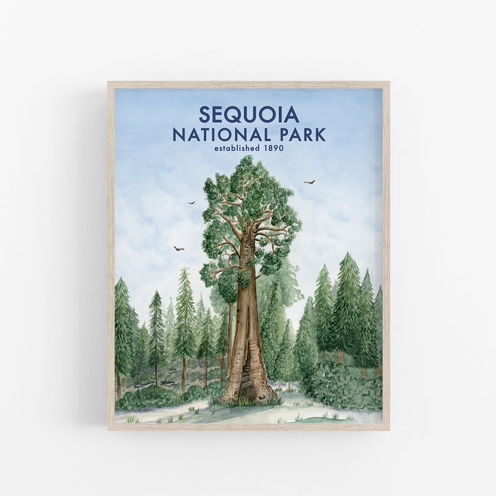 Sequoia National Park Poster - Tiny Toes Design