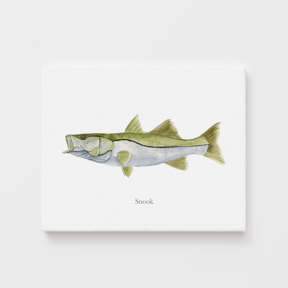 Snook Print - Tiny Toes Design