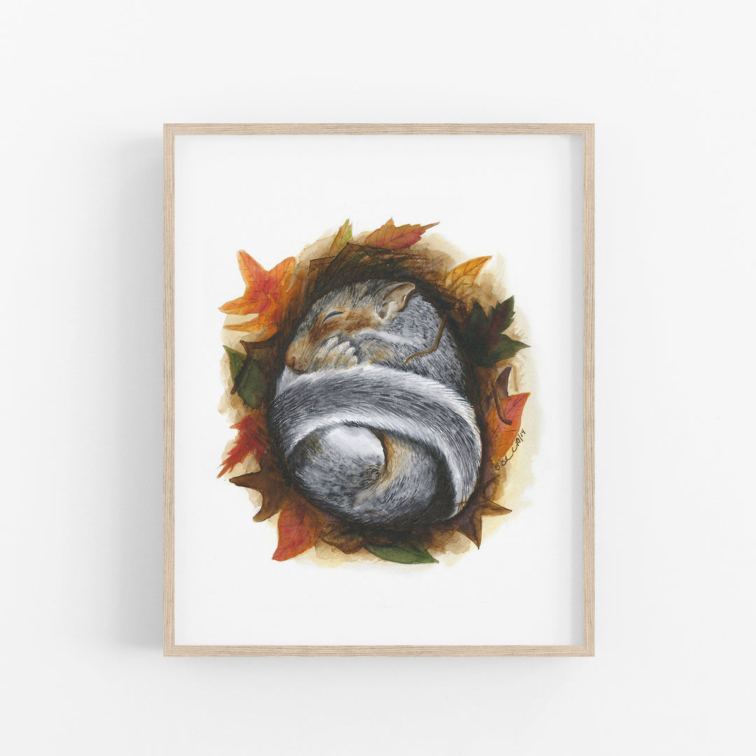 Sleeping Baby Squirrel - Tiny Toes Design