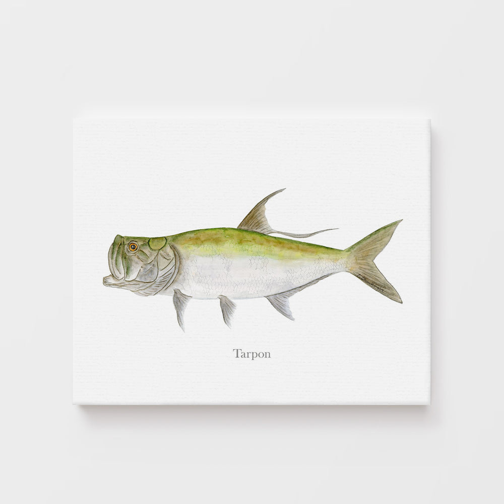 Tarpon Print - Tiny Toes Design