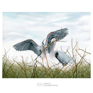 The Nest - Blue Heron Watercolor Painting