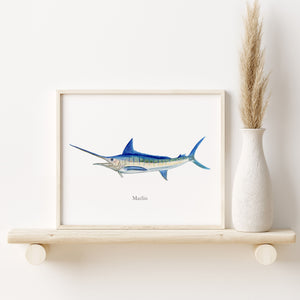 a picture of a blue marlin on a shelf